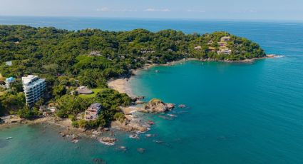 CJNG domina red de fraude de tiempo compartido en Nayarit, señalan a mando regional designado por EU