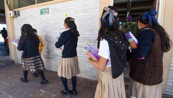 “Esto va más allá de los libros de texto”: expertas consideran que habría que replantear el sistema educativo