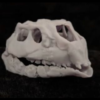 Encuentran al dinosaurio ornitópodo más pequeño del mundo: mide hasta 60 centímetros