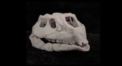 Encuentran al dinosaurio ornitópodo más pequeño del mundo: mide hasta 60 centímetros