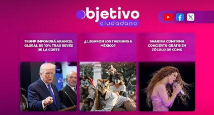 Objetivo Ciudadano: 20 de febrero