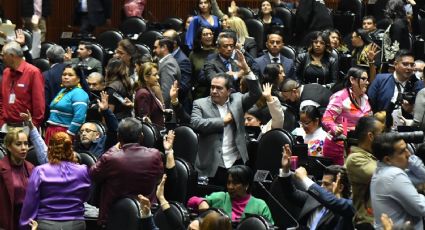 Restaurantes, vuelos y seguros millonarios: así los privilegios de diputados y senadores
