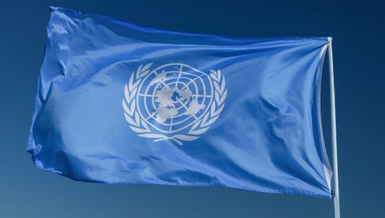 ONU expresa su solidaridad con México ante la "compleja jornada" tras la caída de "El Mencho"