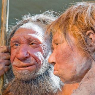 Chisme antiguo: en las parejas intraespecíficas, lo usual es que él fuera neandertal y ella humana