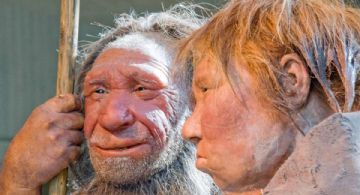 Chisme antiguo: en las parejas intraespecíficas, lo usual es que él fuera neandertal y ella humana
