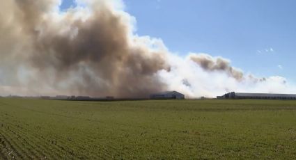 Incendio en granja de Ohio mata a seis mil puercos y destruye parte de su estructura