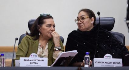 INE será prudente en la reforma electoral: Taddei; pedirá audiencia en San Lázaro y el Senado para presentar análisis técnico