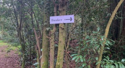 De escondite de reyes a joya turística: "el búnker del hongo" reabre sus puertas en Italia