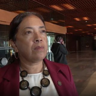 Preocupa que grupos vulnerables queden excluidos con la reforma electoral: diputada de Morena