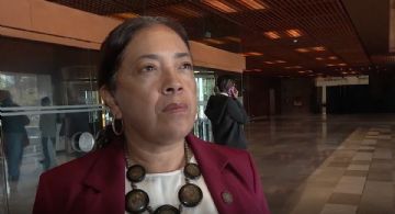 Hay preocupación de que grupos vulnerables queden excluidos con la reforma electoral: diputada de Morena