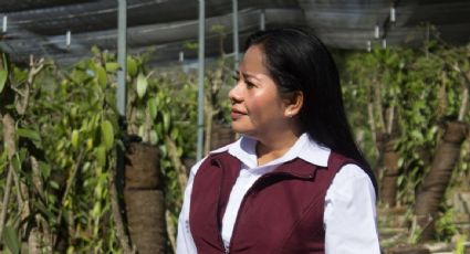 Atacan a balazos a la presidenta municipal de Ayotoxco de Guerrero mientras viajaba hacia CDMX