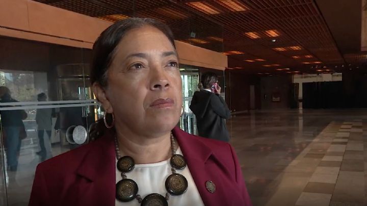 Hay preocupación de que grupos vulnerables queden excluidos con la reforma electoral: diputada de Morena