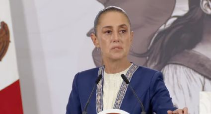 Sheinbaum afirma que colaboraría en la investigación de los archivos de Epstein si el Departamento de Justicia lo solicita