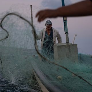 El gasoducto "Puerta al Sureste" pone en riesgo a los arrecifes de aguas profundas en México