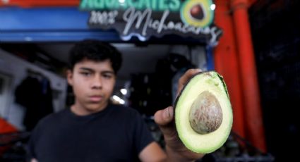 El aguacate mexicano repite como estrella del Super Bowl: reportan incremento de 11 por ciento en envíos a Estados Unidos