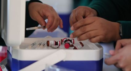 Sarampión en México: Sheinbaum afirma que hay suficientes vacunas ante brote de contagios