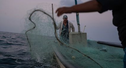 El gasoducto "Puerta al Sureste" pone en riesgo a los arrecifes de aguas profundas en México