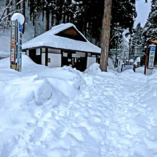 Elecciones en Japón: nevadas provocan retrasos y cierres tempranos de las urnas