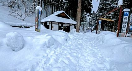 Elecciones en Japón: nevadas provocan retrasos y cierres tempranos de las urnas