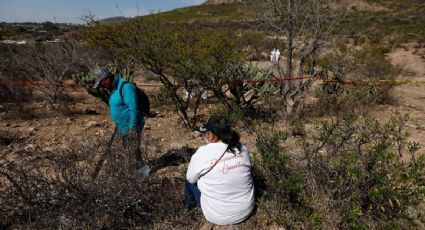 Organización pide al gobierno seguridad e información clara para buscadores tras hallazgo de fosa en Sinaloa