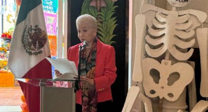 Nombra Sheinbaum como embajadora de México en Guatemala a exrepresentante ante la OEA