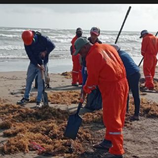 Cesan a tres altos mandos de Pemex tras derrame en el Golfo de México