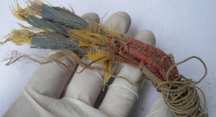 ADN de plumas antiguas de guacamayas revela una sofisticada red comercial previa los incas en Perú