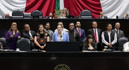 Diputada del PT denuncia ciberacoso de militantes de Morena tras oponerse a la reforma electoral