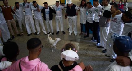 Aumenta consumo de drogas sintéticas en Cuba; los jóvenes buscan ayuda en el Estado y la religión