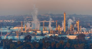 Oferta mundial de petróleo podría tener un recorte de ocho millones de barriles por día, advierte AI