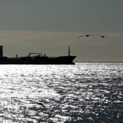 Precio del petróleo sube más del 40% en las primeras dos semanas del conflicto de Medio Oriente