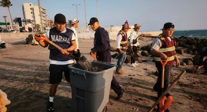 Continúa la limpieza del derrame en Veracruz y Tabasco; Semarnat reporta avance del 85%