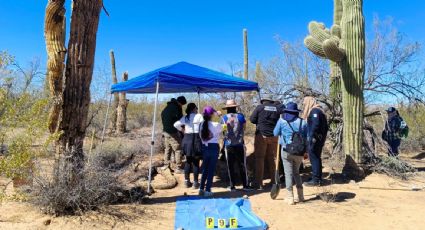 Hallan 16 fosas clandestinas con 19 posibles víctimas en el desierto de Sonora