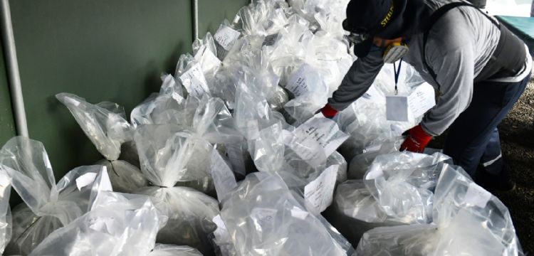 Detienen en EU a exdirectivo de Salud de Baja California por intentar ingresar 70 kilos de drogas