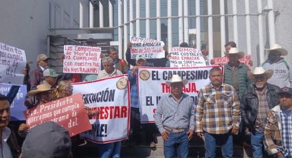 “Haremos lo que esté a nuestro alcance para que no se lleve a cabo el Mundial”: organización campesina