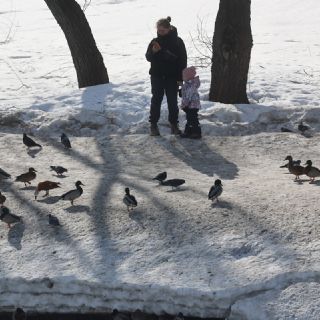 La sexista recomendación de Rusia: sugiere ir al psicólogo a las mujeres que no quieren tener hijos