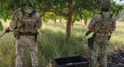 Inseguridad en Sinaloa: hallan 12 explosivos escondidos entre la maleza en Culiacán