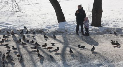 La sexista recomendación de Rusia: sugiere ir al psicólogo a las mujeres que no quieren tener hijos