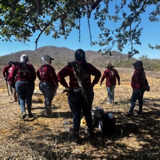 Buscadoras de Sinaloa reportan un nuevo hallazgo positivo en El Verde, Concordia