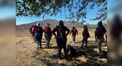 Buscadoras de Sinaloa reportan un nuevo hallazgo positivo en El Verde, Concordia