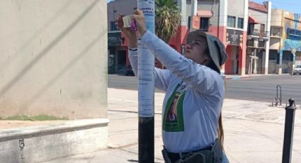 Buscadora afirma que su hermano fue reclutado por el crimen hace cuatro años; la llamó hace unos meses