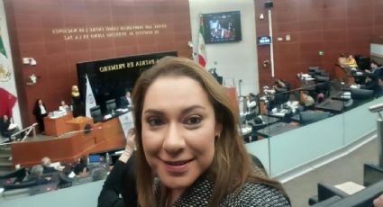 Se tambalea la aspiración de la magistrada Natalia Téllez a la ASF porque fue candidata en la elección judicial