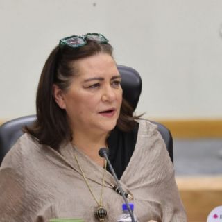 Taddei asistirá al Senado antes de la dictaminación del “plan B” de Sheinbaum