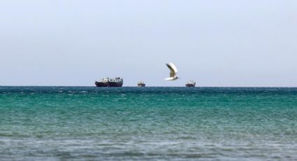 Gobierno de EU autoriza la venta de petróleo iraní varado en el mar para frenar el alza en los precios