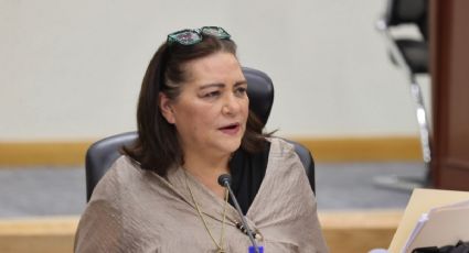 Taddei asistirá al Senado antes de la dictaminación del “plan B” de Sheinbaum