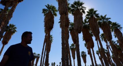 Sequía en EU se agravaría en primavera y ya impacta a más de la mitad del país