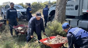Contaminación alcanza playas de Tuxpan en Veracruz: detectan hidrocarburo a días de Semana Santa