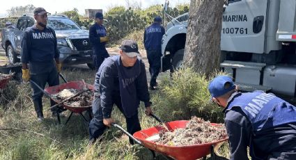 Contaminación alcanza playas de Tuxpan en Veracruz: detectan hidrocarburo a días de Semana Santa