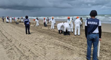 Organización advierte que el derrame de petróleo en Veracruz es una emergencia ambiental
