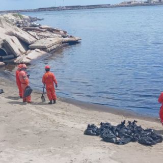 Suman 240 kilogramos recolectados de residuos contaminados por el derrame en Dos Bocas